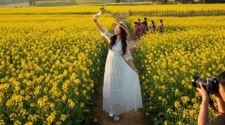 Mùa Hoa Cải Vàng Mộc Châu: Tuyệt Tác "Nhuộm Vàng" Cao Nguyên Ít Người Biết