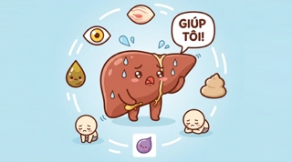 Gan Đang "Kêu Cứu" Nếu Cơ Thể Bạn Có 5 Biểu Hiện Này