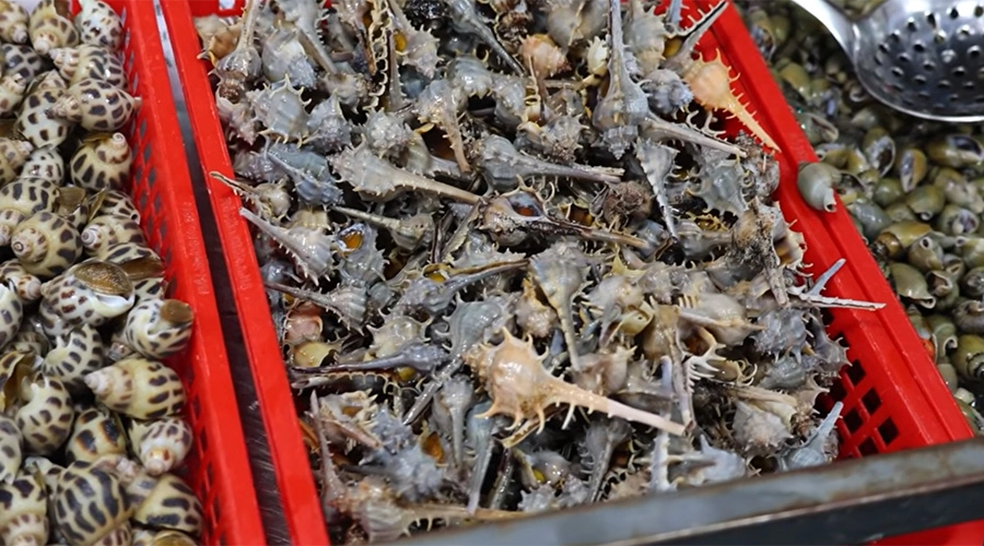 Ốc luộc Hai Hưng, Phan Huy Ích