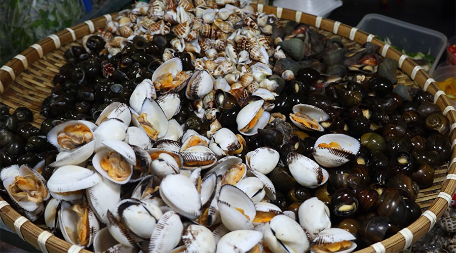 Trải Nghiệm Ốc Luộc Hai Hưng - Quán Ốc 232 Phan Huy Ích, Gò Vấp